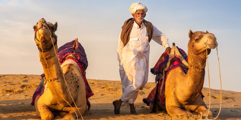 Best Wildlife Reserves in Rajasthan