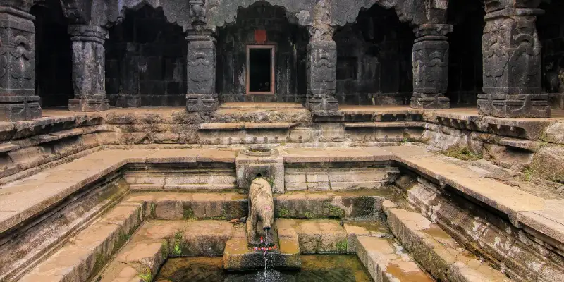 Best Wildlife Reserves in Rajasthan